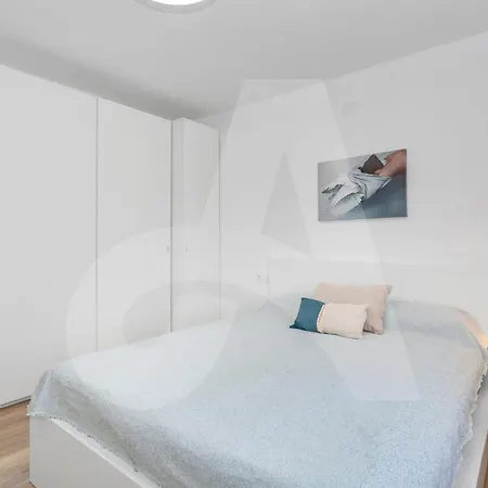 Sonrisa 托雷维耶哈